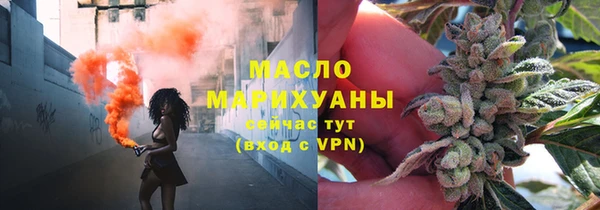 тгк Ельня