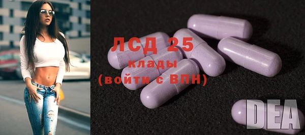 PSILOCYBIN Елабуга