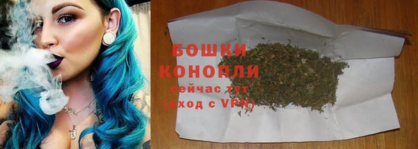 тгк Ельня