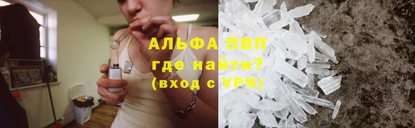 PSILOCYBIN Елабуга