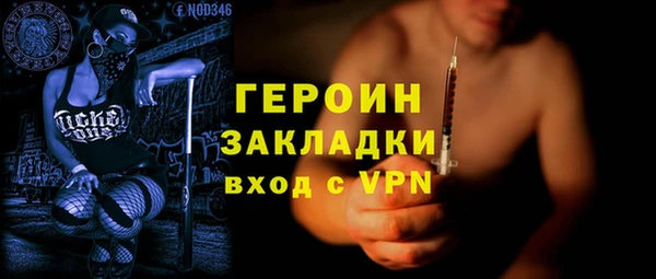 индика Елизово