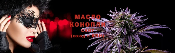 индика Елизово