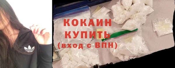 тгк Ельня
