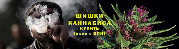 индика Елизово