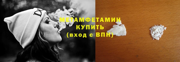 индика Елизово