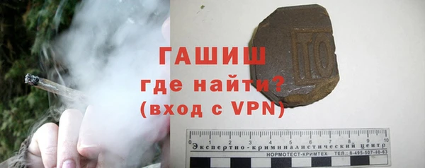 индика Елизово