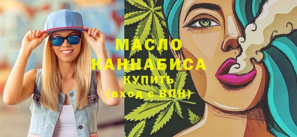 индика Елизово