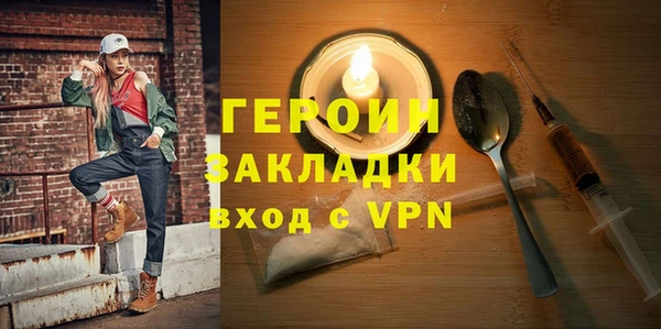 индика Елизово