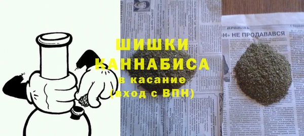 PSILOCYBIN Елабуга