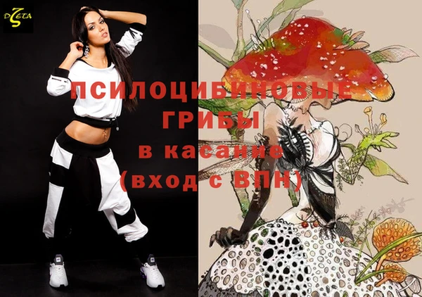 PSILOCYBIN Елабуга