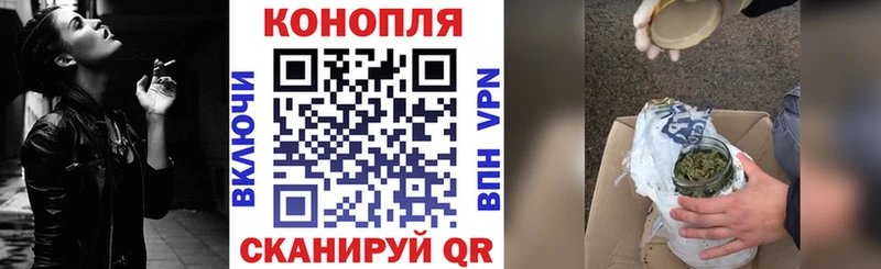 Шишки марихуана сатива  Рошаль 